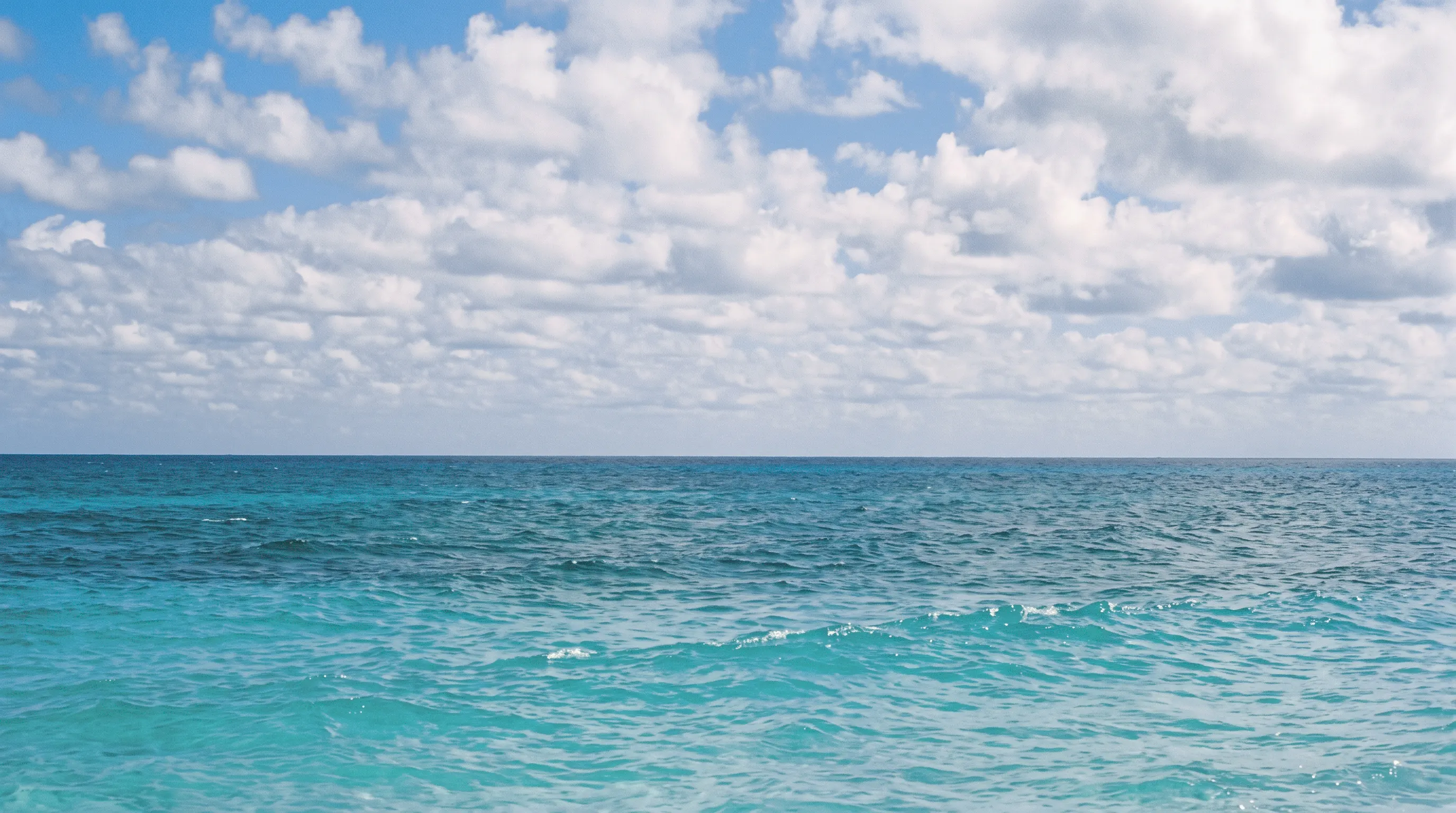 Mar abierto del Caribe